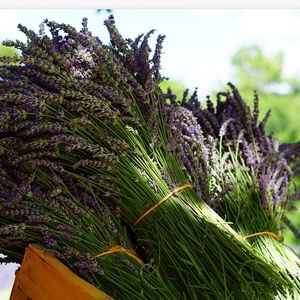 ❤️ BUNDLES = SAVINGS ❤️